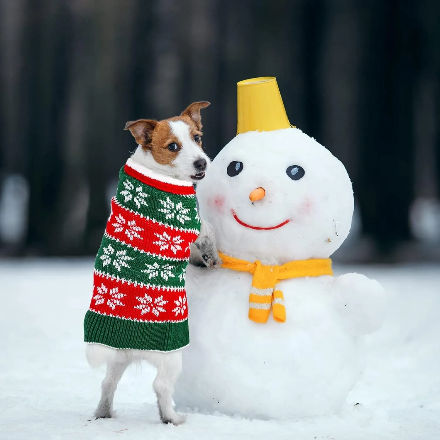 2 Pack Dog Christmas Dress Warm Dog Xmas Sweater Pet Christmas Clothes Stripes Dog Knit Sweater Dress Dog Winter Warm Pullover with Snowflakes and Christmas Flowers (S)