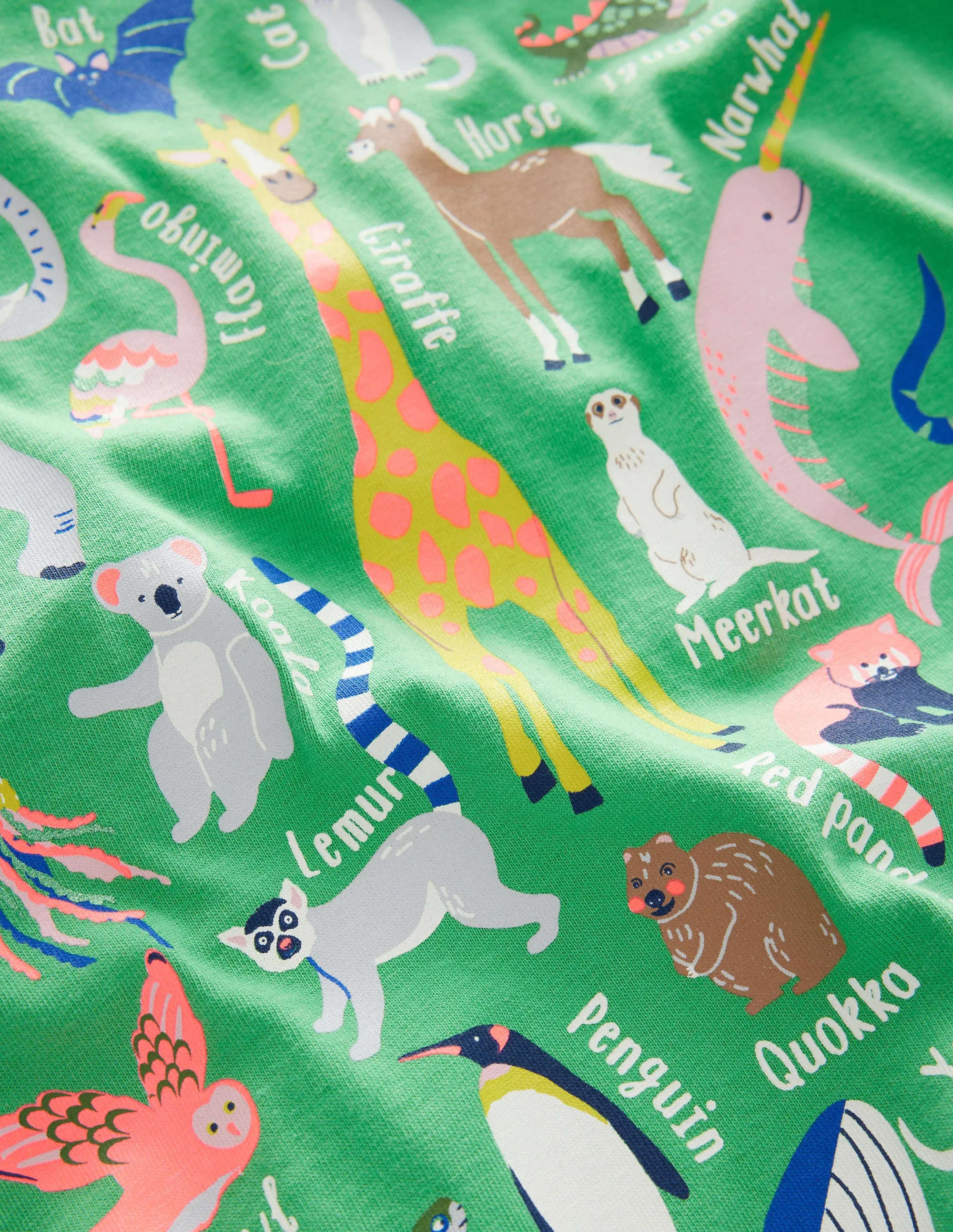 Animal Education T-shirt-Aloe Green Animal Alphabet