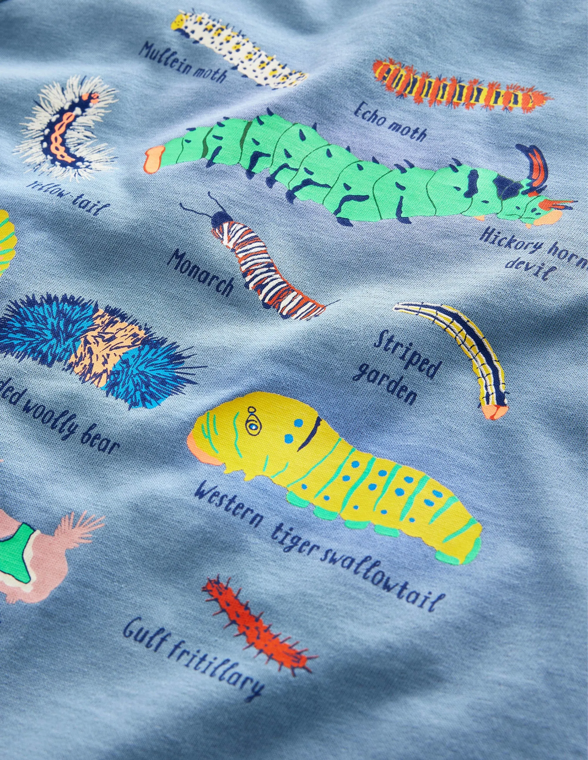 Animal Education T-shirt-Pebble Blue Insects