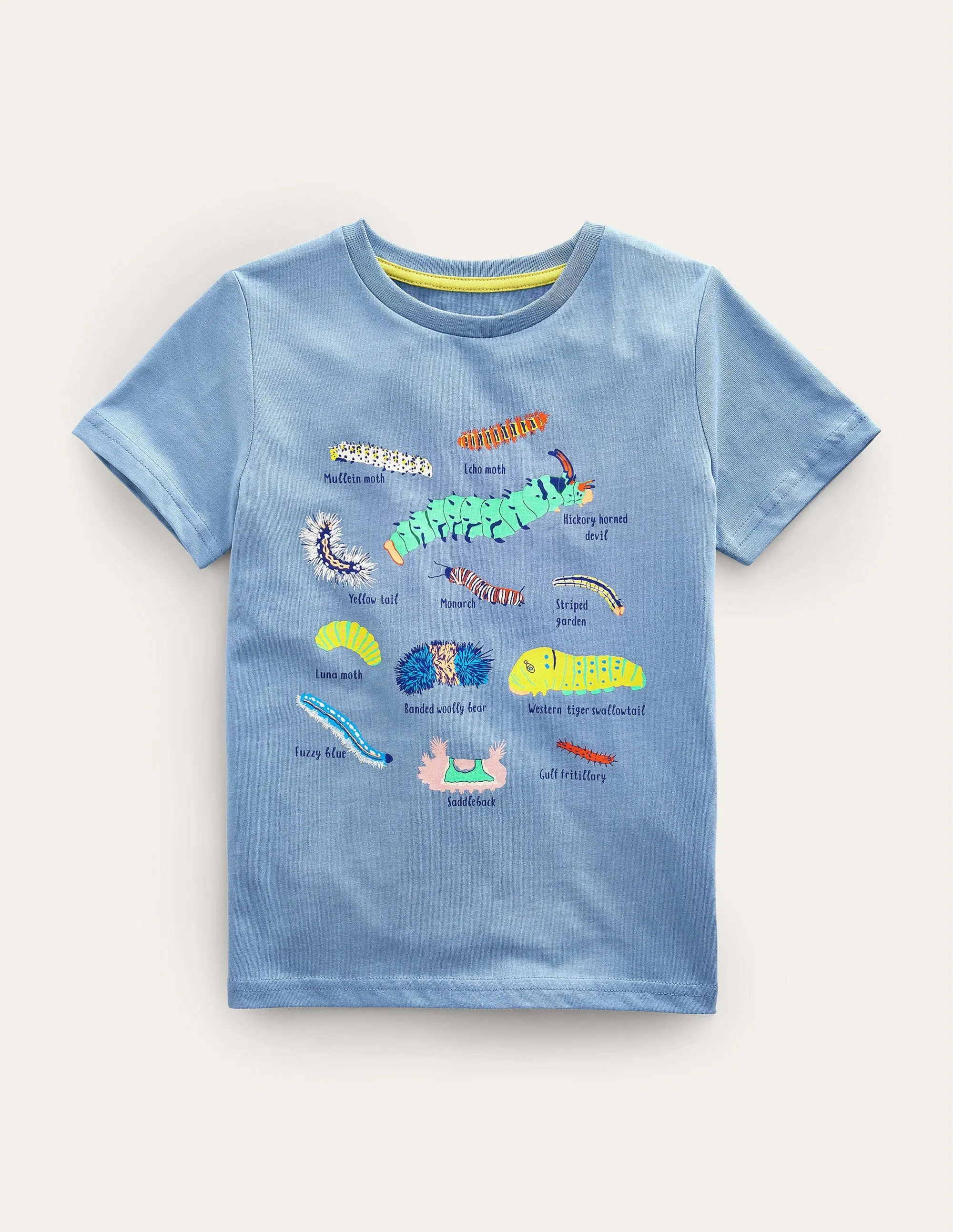 Animal Education T-shirt-Pebble Blue Insects